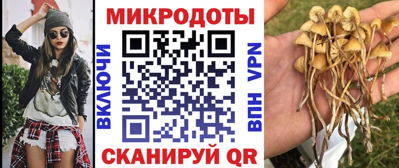 Псилоцибиновые грибы Cubensis  Лангепас 